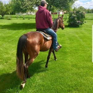 Meet your Posher, Lincoln